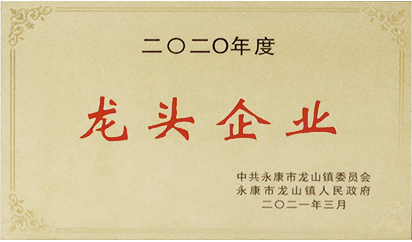 二〇二〇年度龙头企业
